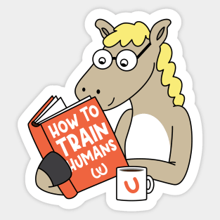 Dressage Horse Riding Reading Funny Horse Lover Sticker